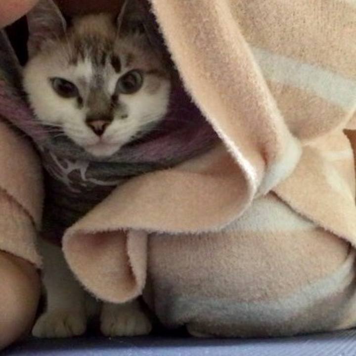 5620bc1f 151d 4b7a a7c1 adca3b297ee5