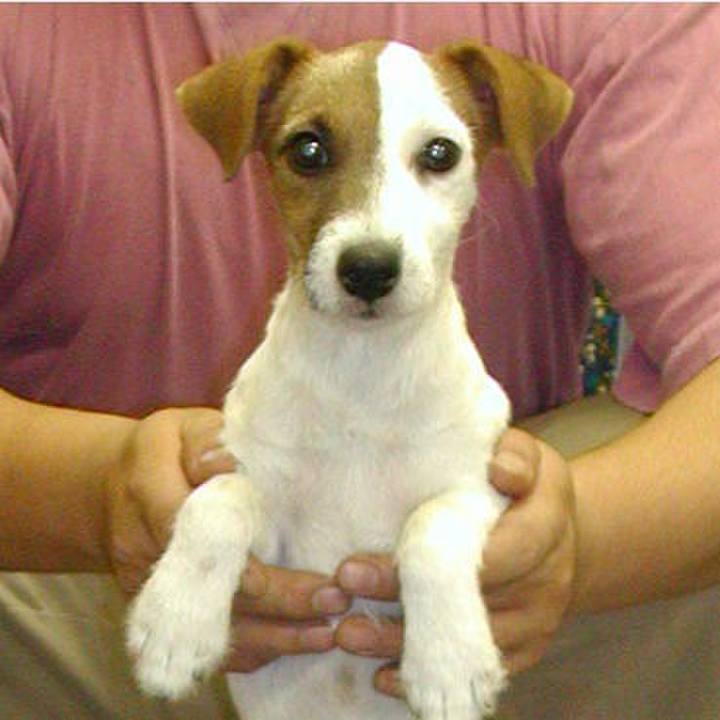 5620da02 c9f3 4eae 9e6e f98274f6007d