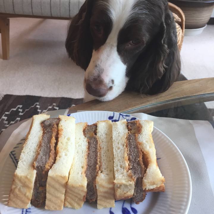 5620dc17 3287 44e5 a6fa 395fe9b147af