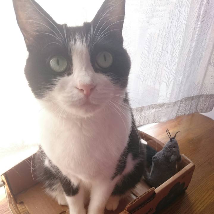 5620e5e3 47be 4b42 8efd 3590144bb3e8