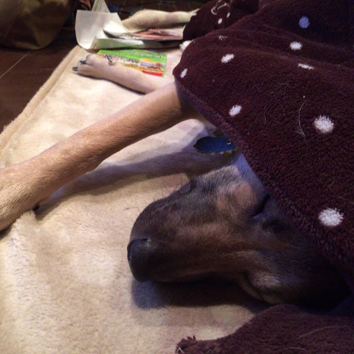 5621024b b5b1 403e 8dd1 08f356c3b409