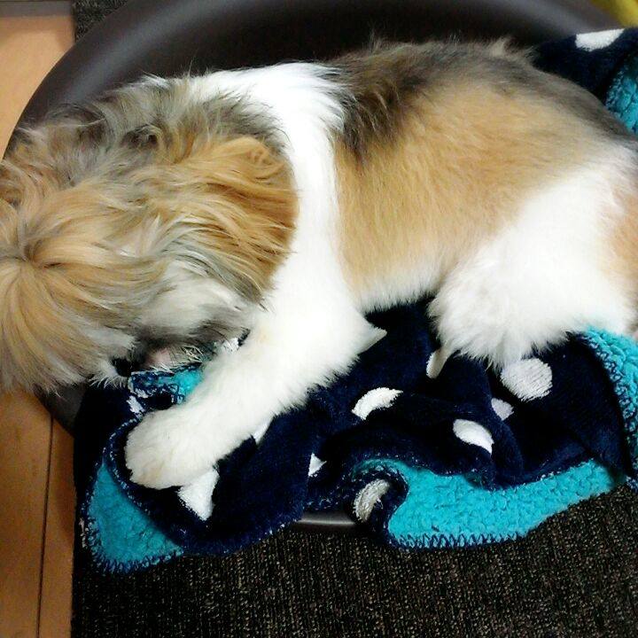 562117ef a744 4e76 8412 55f7179b575f