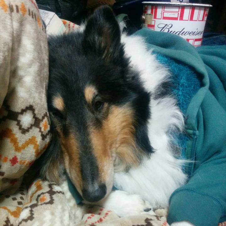 56218555 8227 48d1 ac79 a0aa7897e957