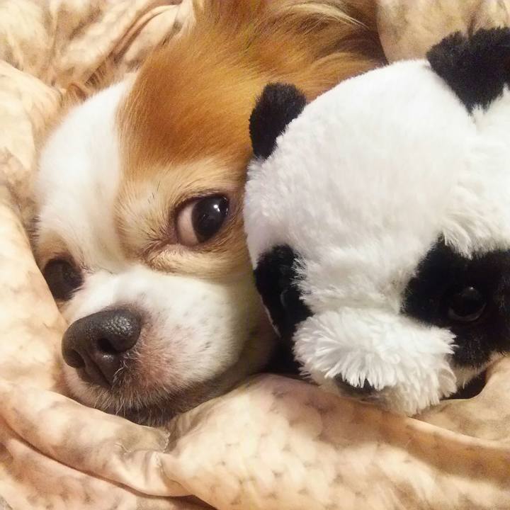 5621c924 23ed 4262 98b0 639eb9a64d2c