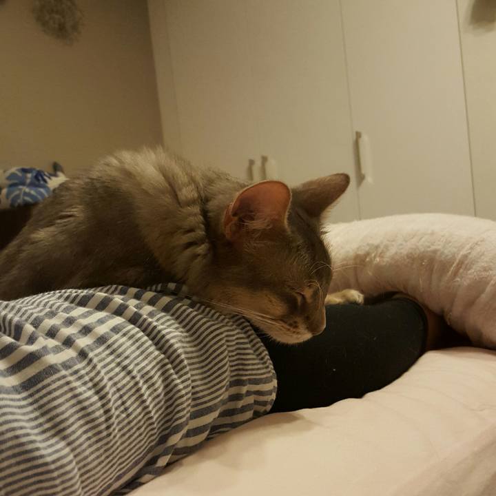 5621e1b7 a20e 4f40 b857 a14bf7e83d0c