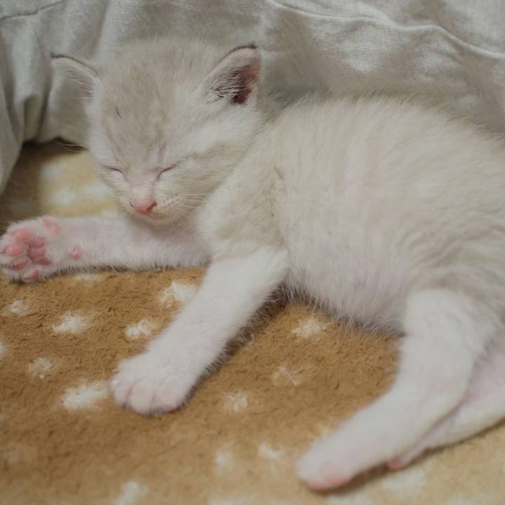 56225808 0321 49c4 9fca 5a93b59400e5