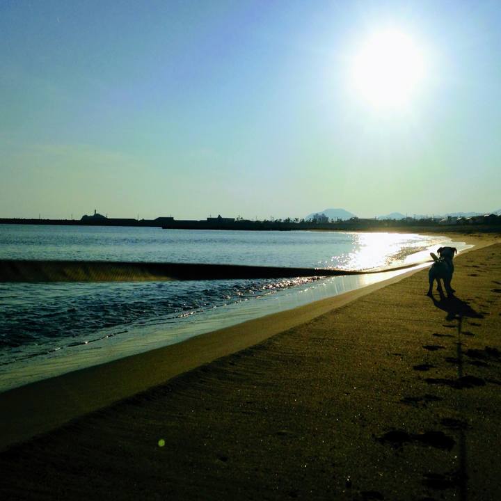 56225ef3 cb7e 4db6 a945 00cb6ead63ba