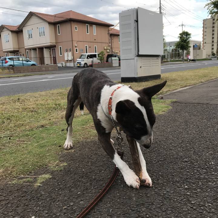 5623b94a 065a 4cff a49e bdb38a51f0db