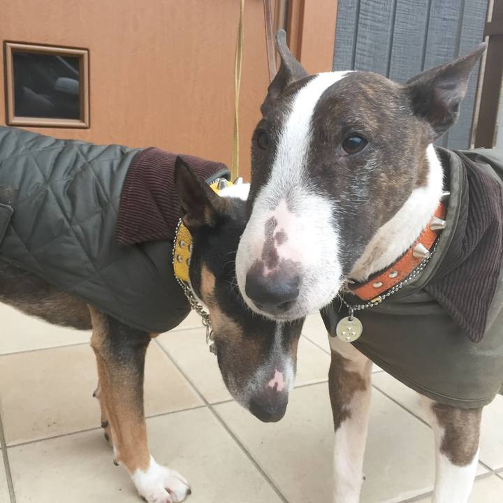 56240bf6 d29b 44d7 90a3 158a124220fb