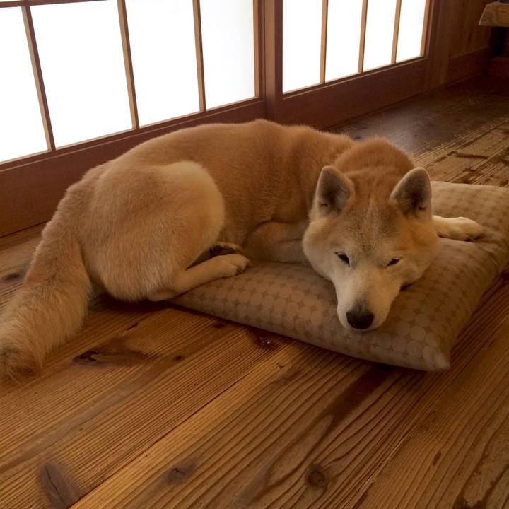 56246035 c1e4 49d9 b221 6b2af34186e7