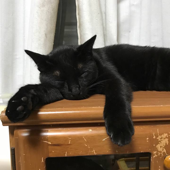 5624db29 cad4 4769 8261 d9cd6a95bfae