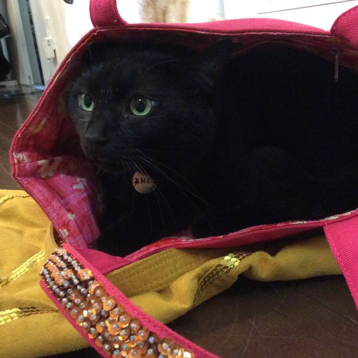 5625afdf 52e1 41c9 9bb2 1e585773a38c