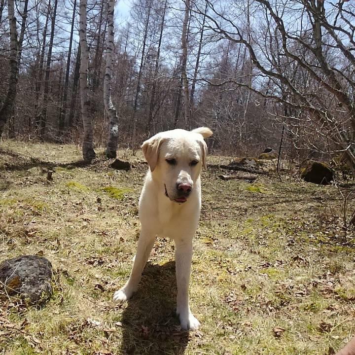 5625f1c2 c3eb 41f1 9fc1 a1153818fc95