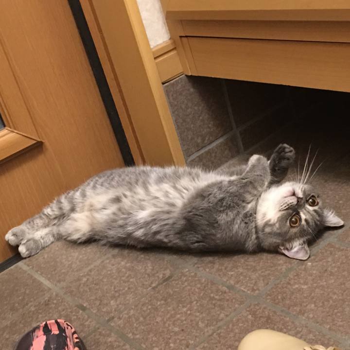 56260c12 44aa 40c8 9920 7a4f4a583f75