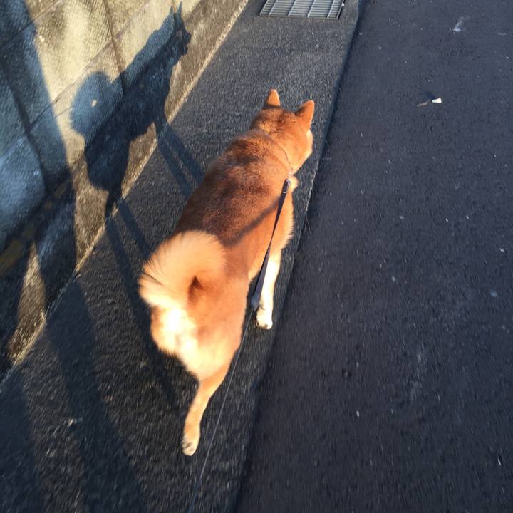 5626508e c907 499c 8cd3 2609030b0c7b