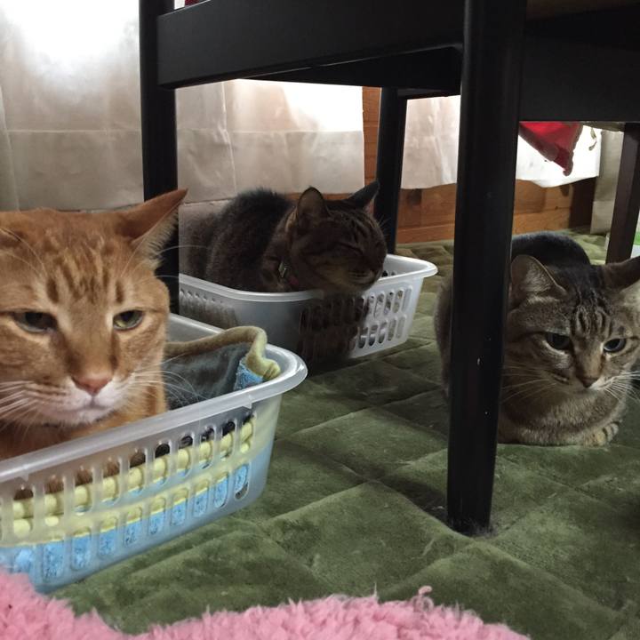 5626773b b539 4a51 813b b522d77a7e6b