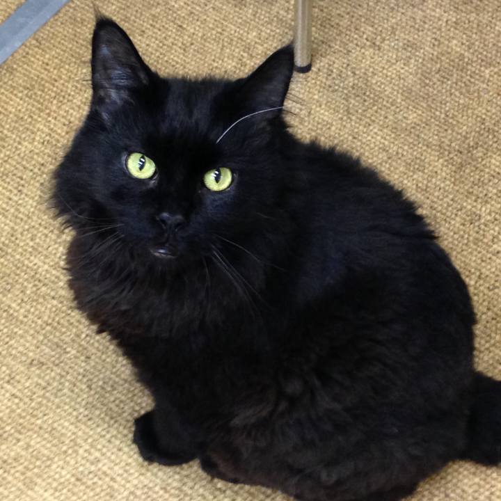 56269d48 455f 41ae 863f 7acdb7342983