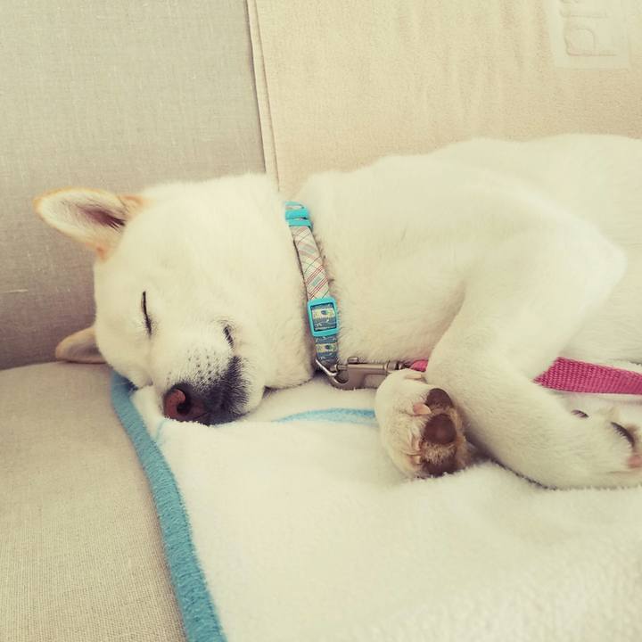 5626ad14 6df3 423b 965a a28e91381740