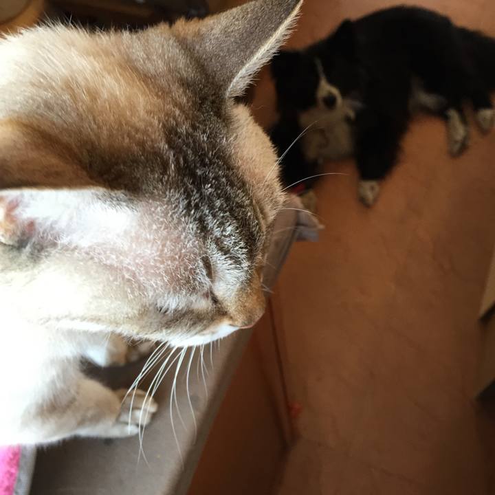 5626f705 feb4 406d 84c4 3ea947316c7e