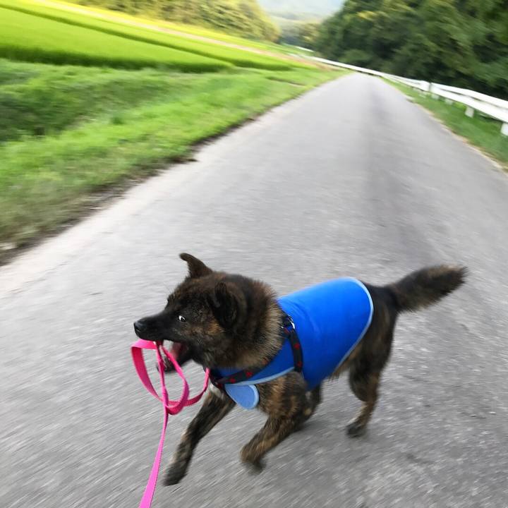 5627772e 7656 43ce a392 14165573a28a