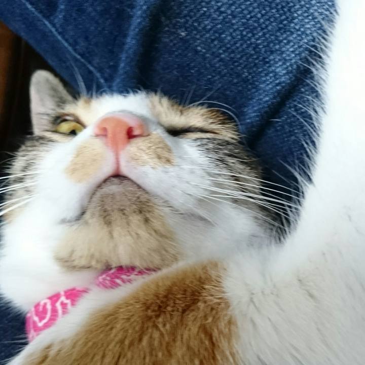 56278c06 03bd 4478 8e44 f26b8edf80e6