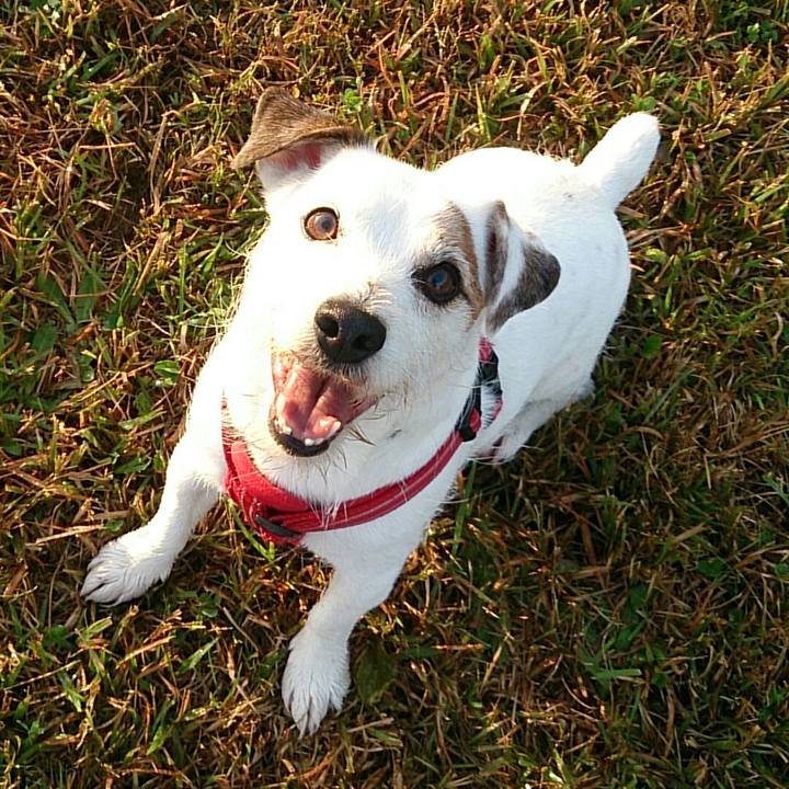 5627b2e1 35fe 4c7e 8c33 1e8474a27390