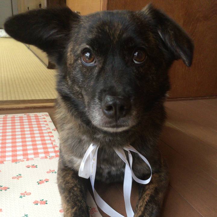 56282e49 ffd7 42d0 8eee 67f2e5c0ab02