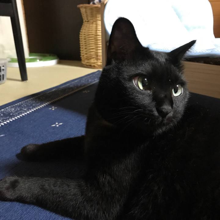 56284a69 b716 49ba 8d86 a5a9cd50344a