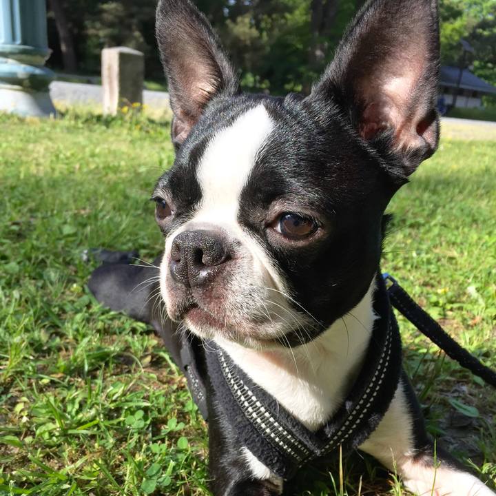 56295055 2adf 40c9 9df9 3ecb3bd83ca8