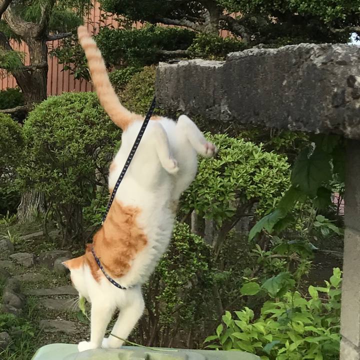 562957dc 38c2 47f2 b14b da80fcb4db28