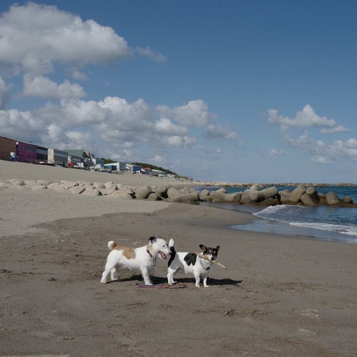 56296d5c 8ddc 4fc3 80b7 d487be5d4e12