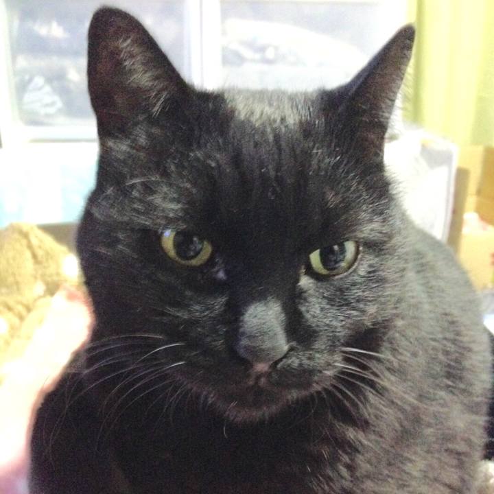 562a19aa 84a8 4812 b8e7 14619e439694