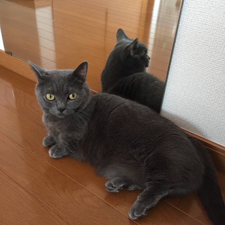 562a5e64 b7be 43cc 8407 8852be91724d