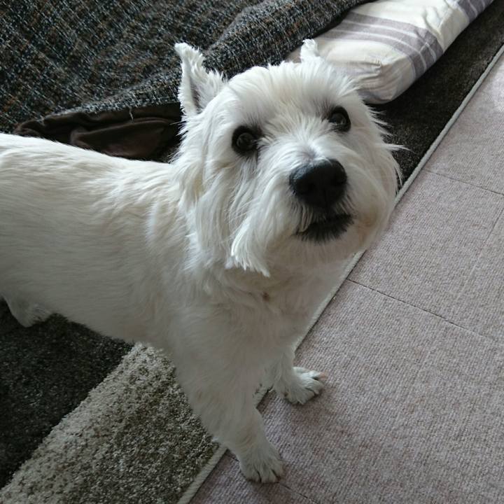 562a9374 a9db 42c5 9615 089426efb8f4