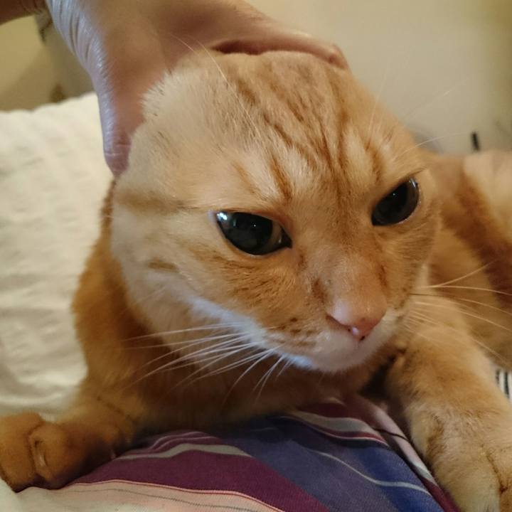 562cc1ef d124 44f7 95a1 a775a264986c