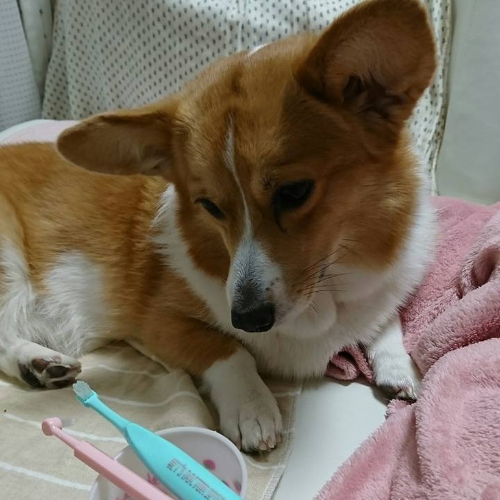 562d3bf8 0bb5 499b 8fa7 ee094e8aacae