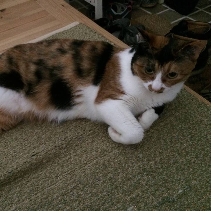 562d83bb d2d6 44b0 82e0 655aefbefcd3