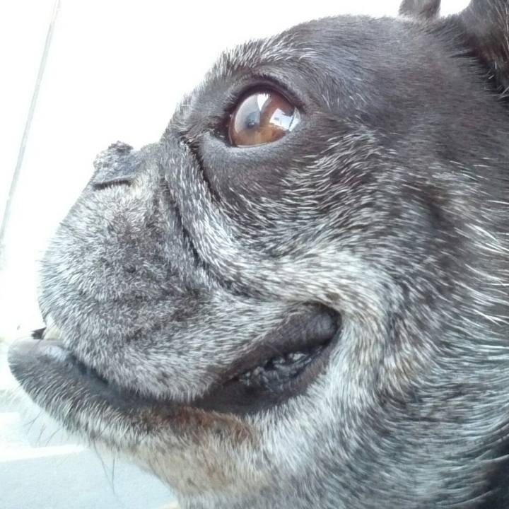 562de512 8b0e 48c4 9609 fa33fa9a533d