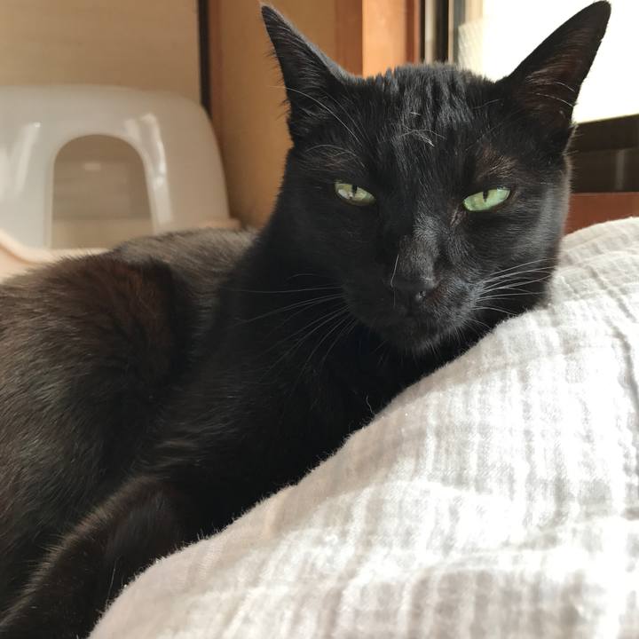 562e0ef0 41d8 4f2c baf5 9ed303dffe03