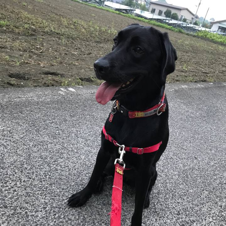 562ebfdd ff99 4427 849a aa24c2a0b835