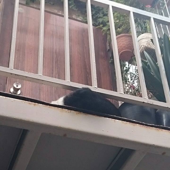 562eeedd a1e3 4603 9a29 193361cf9ff4