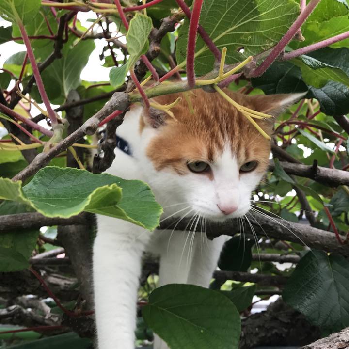 562f7e4a e6e5 4da8 83cd 7d56fcb9a2f4