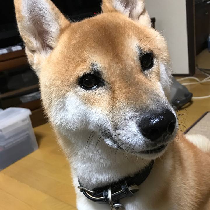 562fb24a eb82 4947 a876 062007065ede