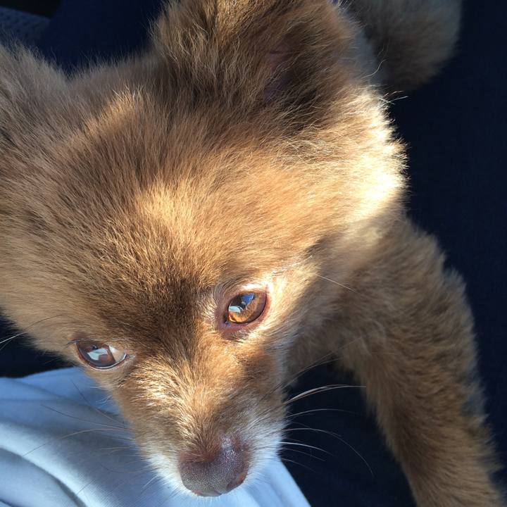 5630d2c3 50a0 4021 89de 387ce7a4aa17