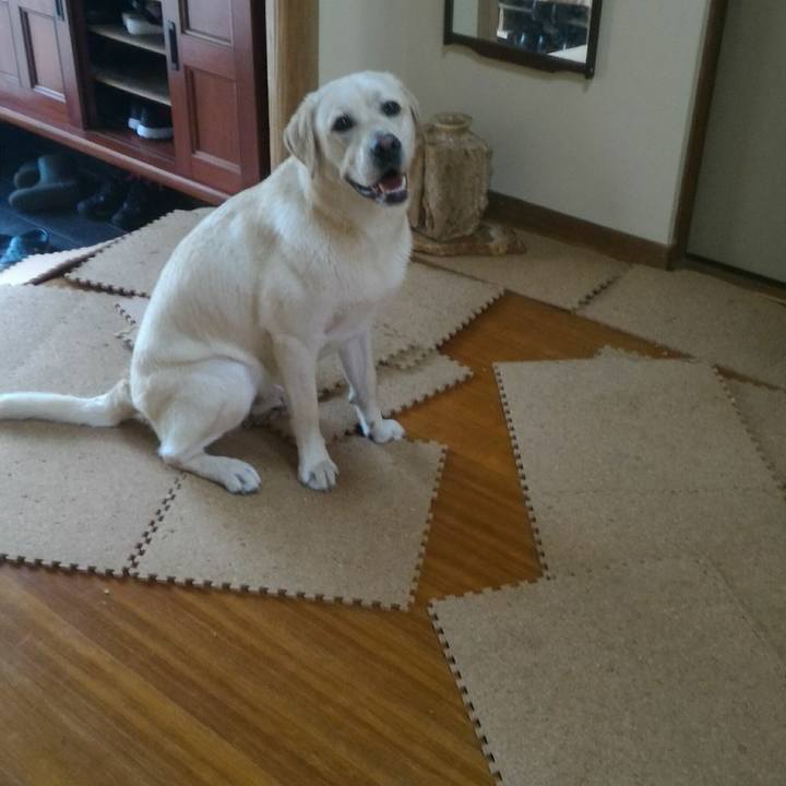 56316f29 e6b6 4e4f a06a 2443c298ded6