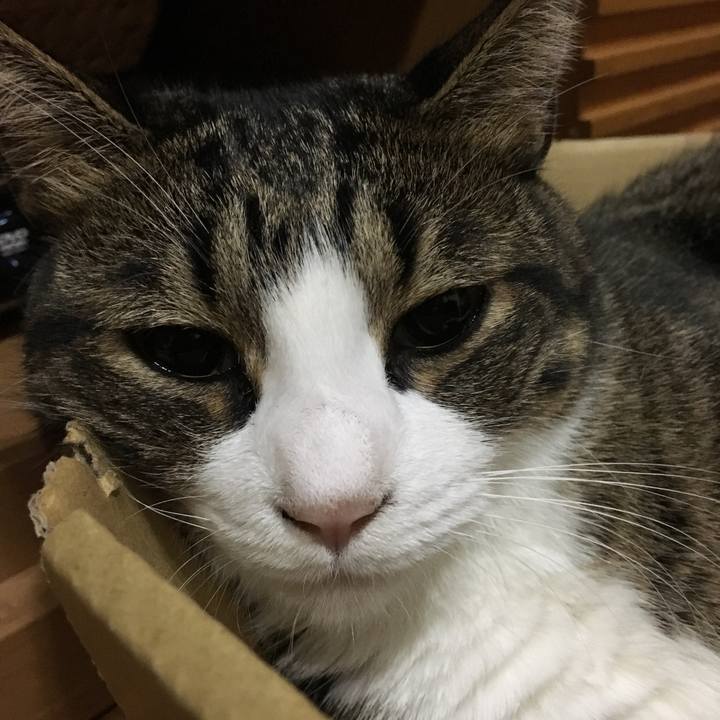 56323c05 8e2f 48d9 87b2 af1e62fd1246