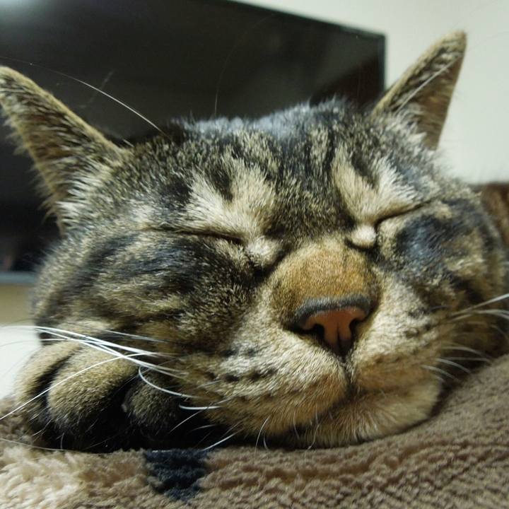 5632f298 f658 4b1c 9ff8 7f8d0455ce95