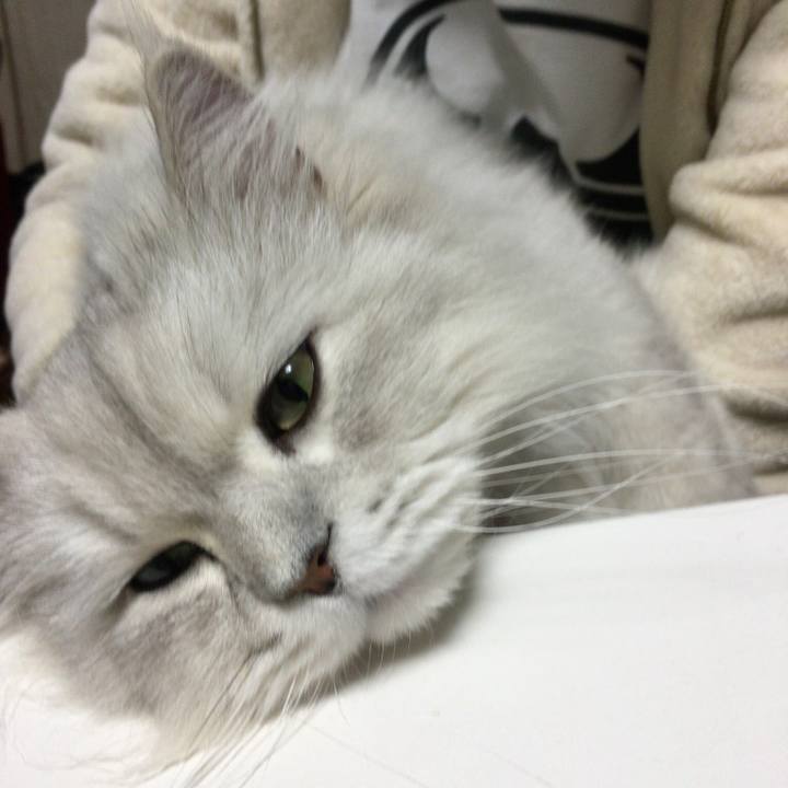 563332a4 0817 4bf3 b405 fc7df8776475