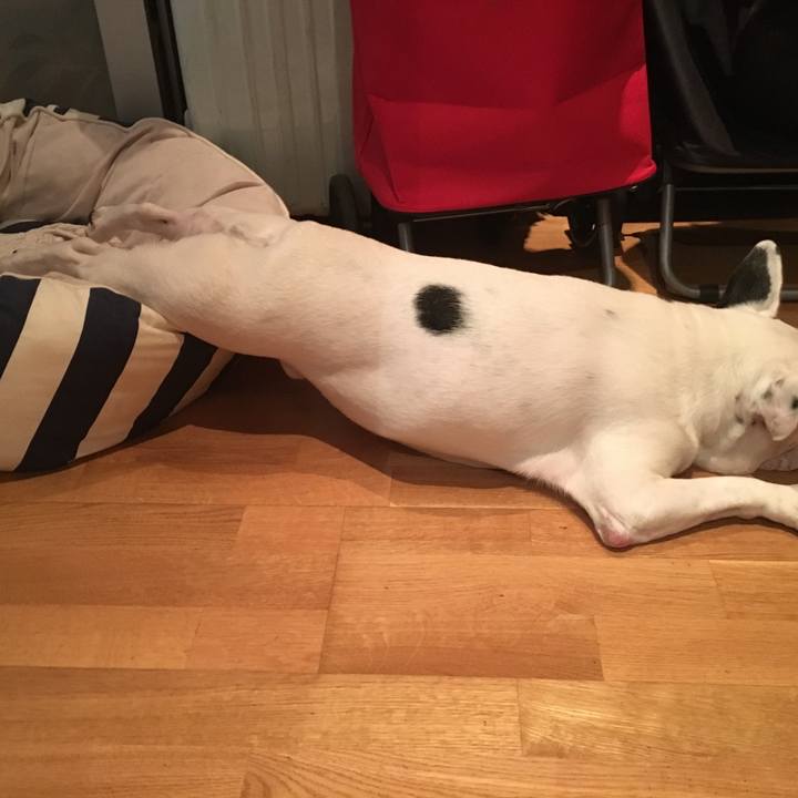 563390ab dff0 4813 9da3 a33a0956b4da