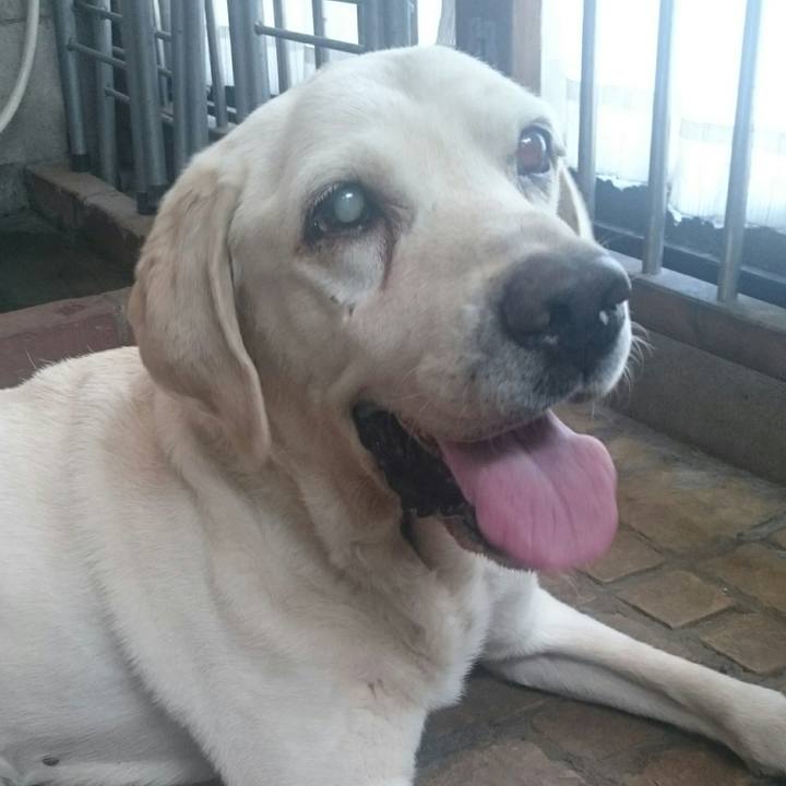 5634030c 03b0 49b5 bca3 606b1f10ad2a